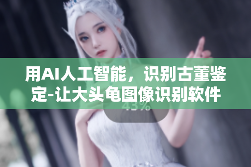 用AI人工智能，识别古董鉴定-让大头龟图像识别软件化！