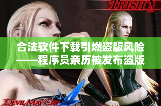 合法软件下载引燃盗版风险——程序员亲历被发布盗版软件经历