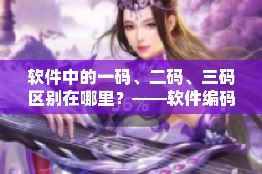 软件中的一码、二码、三码区别在哪里？——软件编码规范详解