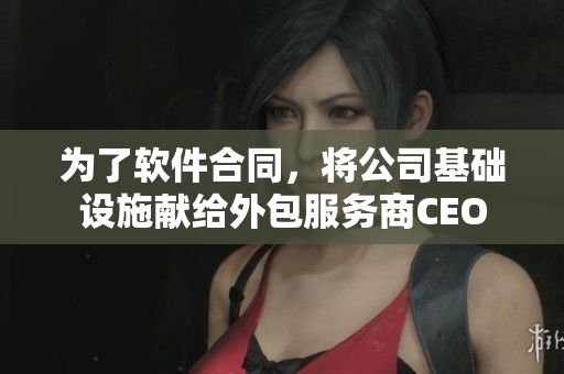 为了软件合同，将公司基础设施献给外包服务商CEO
