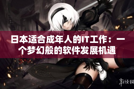 日本适合成年人的IT工作：一个梦幻般的软件发展机遇