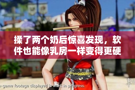 揉了两个奶后惊喜发现，软件也能像乳房一样变得更硬更强大