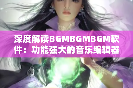 深度解读BGMBGMBGM软件：功能强大的音乐编辑器的价格分析