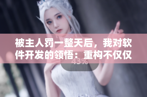 被主人罚一整天后，我对软件开发的领悟：重构不仅仅是代码的重构！