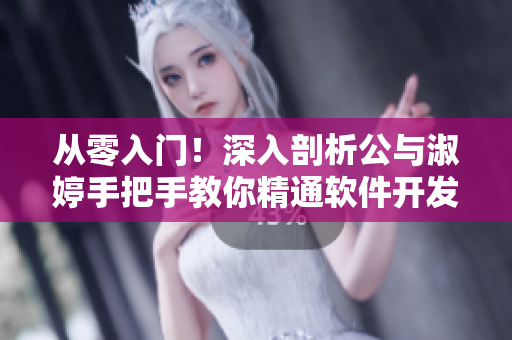 从零入门！深入剖析公与淑婷手把手教你精通软件开发