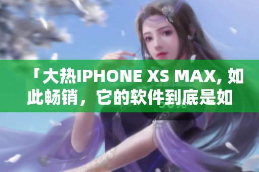 「大热IPHONE XS MAX, 如此畅销，它的软件到底是如何精良？」