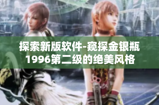 探索新版软件-窥探金银瓶1996第二级的绝美风格