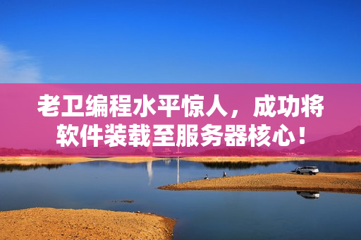 老卫编程水平惊人，成功将软件装载至服务器核心！