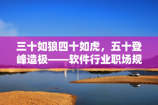 三十如狼四十如虎，五十登峰造极——软件行业职场规划。