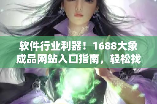 软件行业利器！1688大象成品网站入口指南，轻松找到你所需的软件资源！