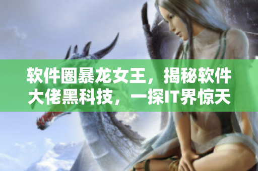 软件圈暴龙女王，揭秘软件大佬黑科技，一探IT界惊天内幕