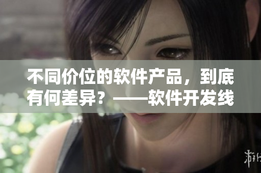 不同价位的软件产品，到底有何差异？——软件开发线下文化爆发