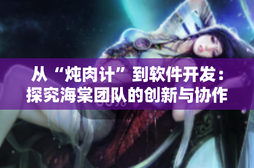 从“炖肉计”到软件开发：探究海棠团队的创新与协作模式