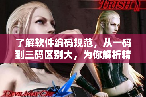 了解软件编码规范，从一码到三码区别大，为你解析精品无人区。