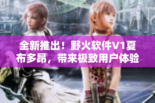 全新推出！野火软件V1夏布多昂，带来极致用户体验——详细评测