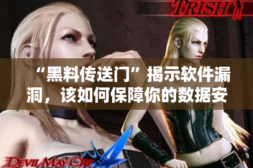 “黑料传送门”揭示软件漏洞，该如何保障你的数据安全？