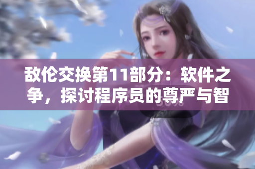 敌伦交换第11部分：软件之争，探讨程序员的尊严与智慧