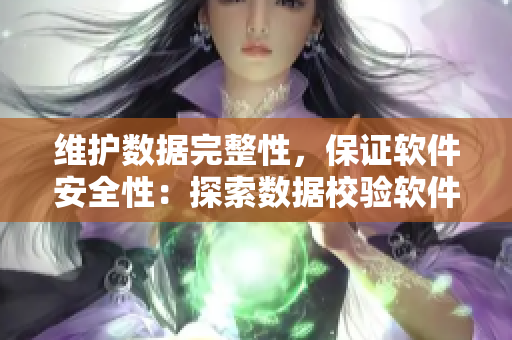维护数据完整性，保证软件安全性：探索数据校验软件在技术领域的应用