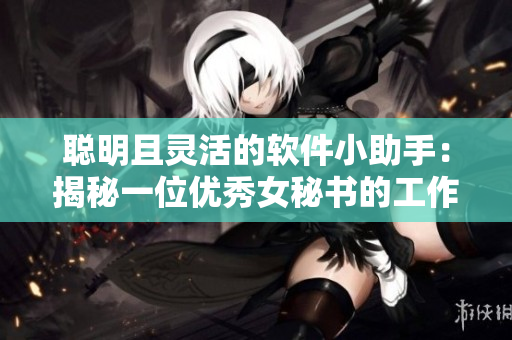 聪明且灵活的软件小助手：揭秘一位优秀女秘书的工作技巧
