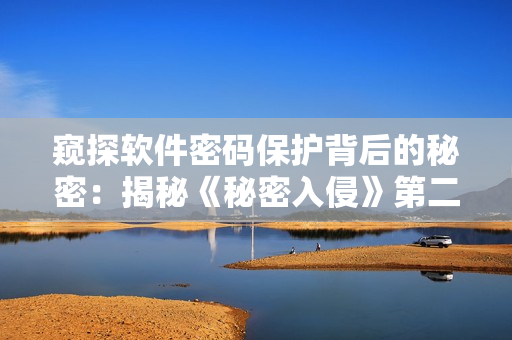 窥探软件密码保护背后的秘密：揭秘《秘密入侵》第二集