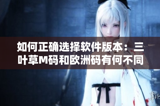 如何正确选择软件版本：三叶草M码和欧洲码有何不同？
