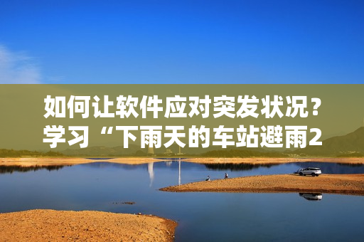 如何让软件应对突发状况？学习“下雨天的车站避雨2”的应对策略！
