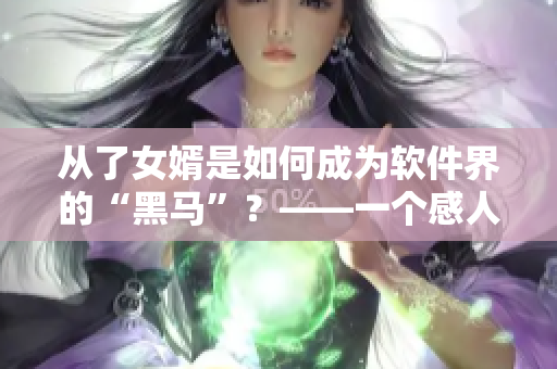 从了女婿是如何成为软件界的“黑马”？——一个感人故事