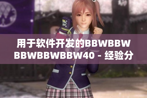 用于软件开发的BBWBBWBBWBBWBBW40 - 经验分享和产品评测