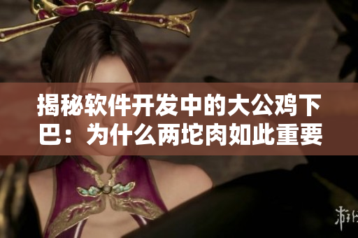 揭秘软件开发中的大公鸡下巴：为什么两坨肉如此重要？