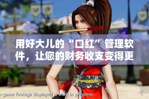 用好大儿的“口红”管理软件，让您的财务收支变得更加清晰易懂