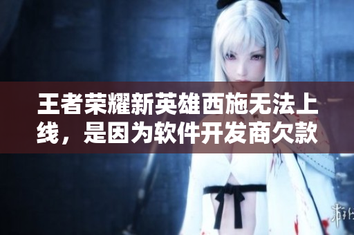 王者荣耀新英雄西施无法上线，是因为软件开发商欠款未还！