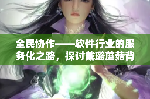 全民协作——软件行业的服务化之路，探讨戴璐蘑菇背后的打造之道