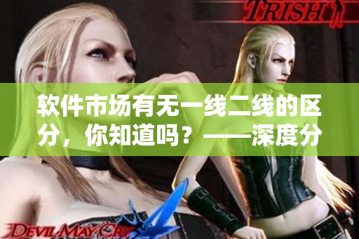 软件市场有无一线二线的区分，你知道吗？——深度分析软件市场的竞争格局