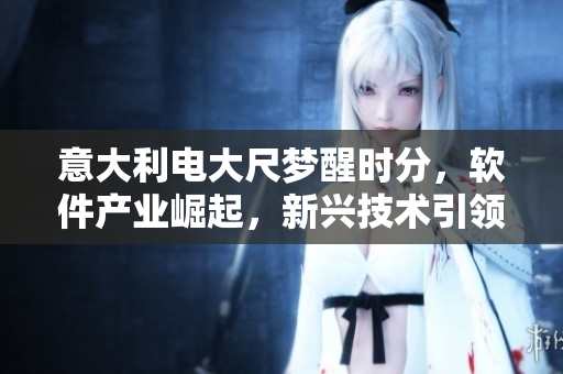 意大利电大尺梦醒时分，软件产业崛起，新兴技术引领未来