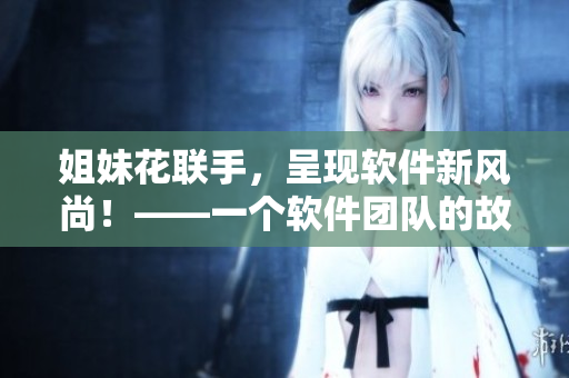 姐妹花联手，呈现软件新风尚！——一个软件团队的故事