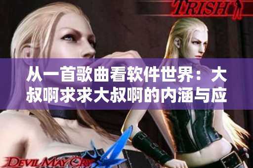 从一首歌曲看软件世界：大叔啊求求大叔啊的内涵与应用前景。