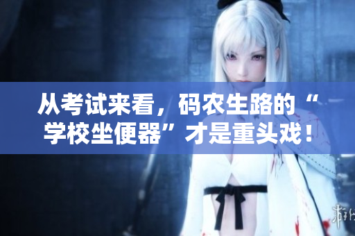 从考试来看，码农生路的“学校坐便器”才是重头戏！