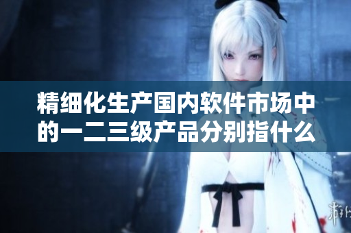 精细化生产国内软件市场中的一二三级产品分别指什么？
