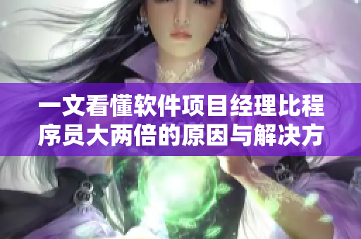 一文看懂软件项目经理比程序员大两倍的原因与解决方法