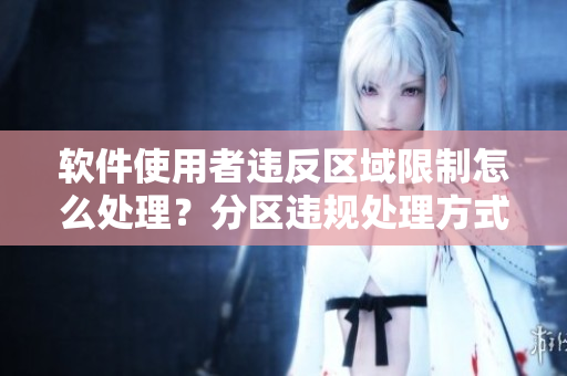 软件使用者违反区域限制怎么处理？分区违规处理方式解析