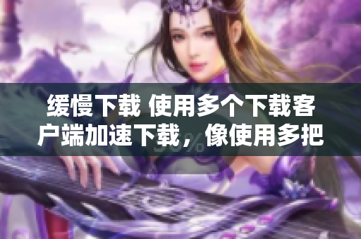 缓慢下载 使用多个下载客户端加速下载，像使用多把小雨伞一样!