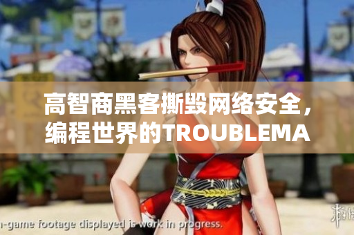 高智商黑客撕毁网络安全，编程世界的TROUBLEMAKER