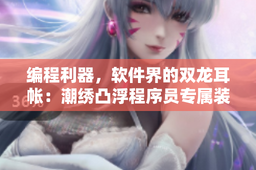 编程利器，软件界的双龙耳帐：潮绣凸浮程序员专属装饰