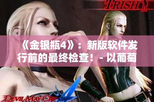《金银瓶4》：新版软件发行前的最终检查！- 以葡萄熟为启示