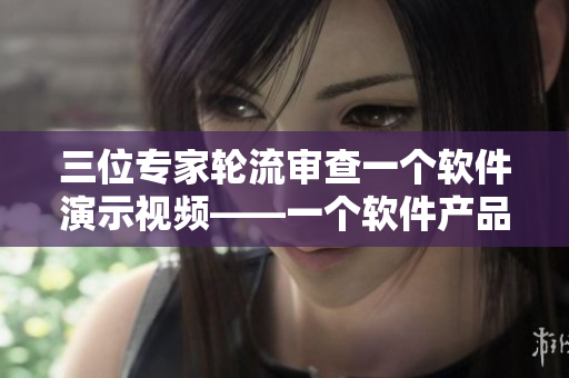 三位专家轮流审查一个软件演示视频——一个软件产品的多元评审
