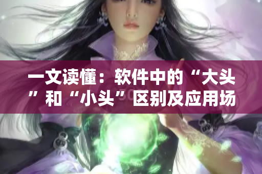 一文读懂：软件中的“大头”和“小头”区别及应用场景