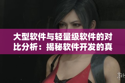 大型软件与轻量级软件的对比分析：揭秘软件开发的真相