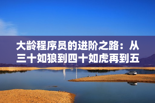 大龄程序员的进阶之路：从三十如狼到四十如虎再到五十呢