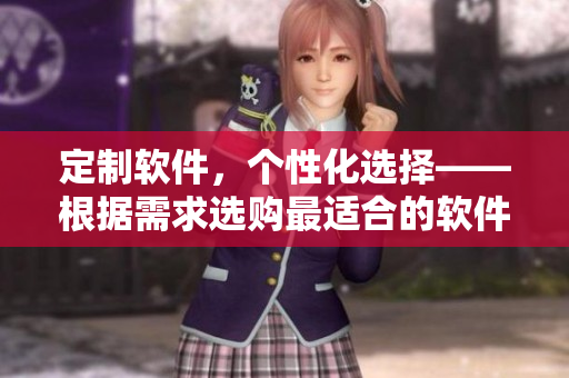 定制软件，个性化选择——根据需求选购最适合的软件尺寸