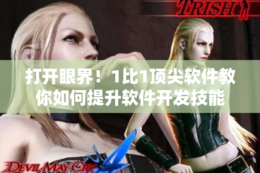 打开眼界！1比1顶尖软件教你如何提升软件开发技能